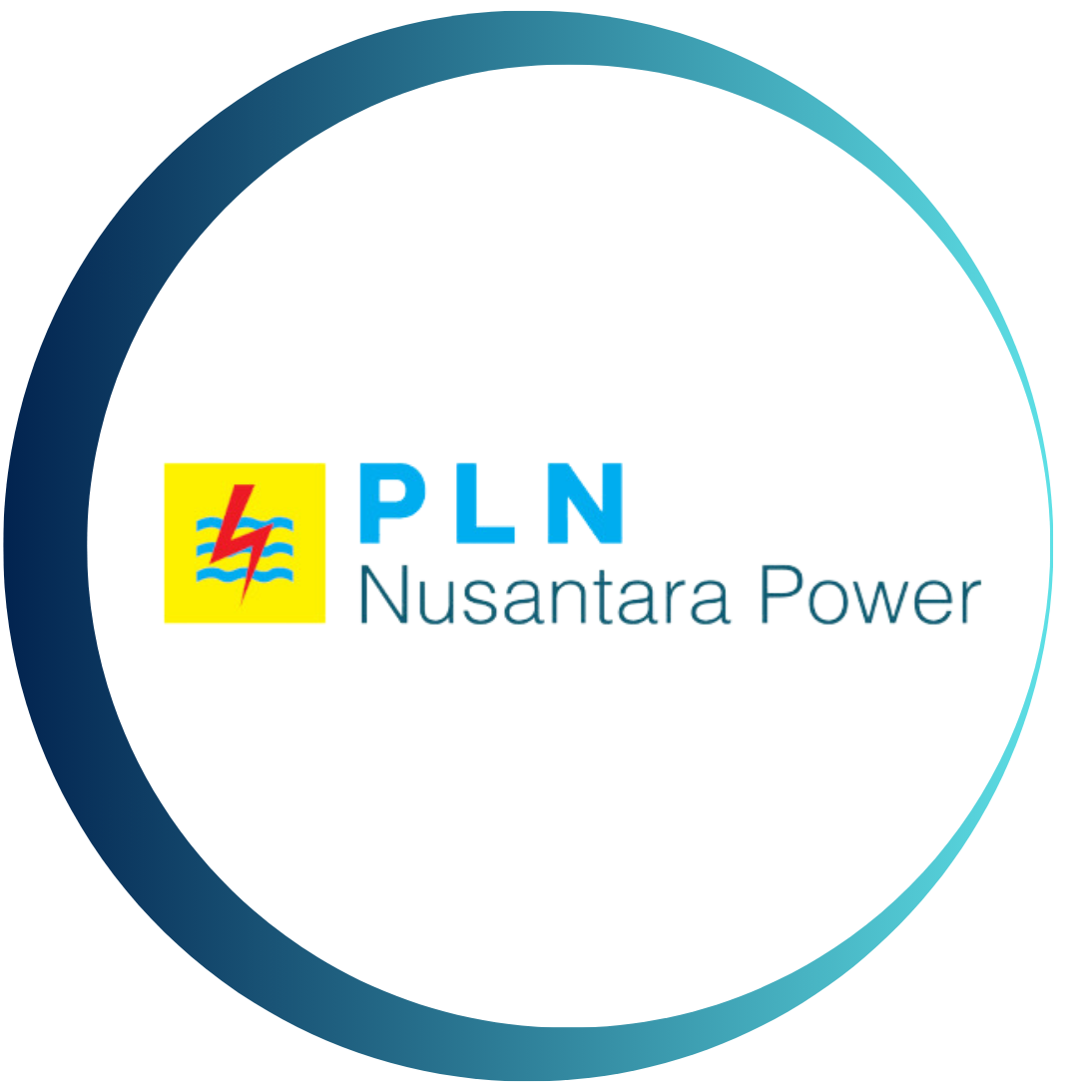 PLN N POWER